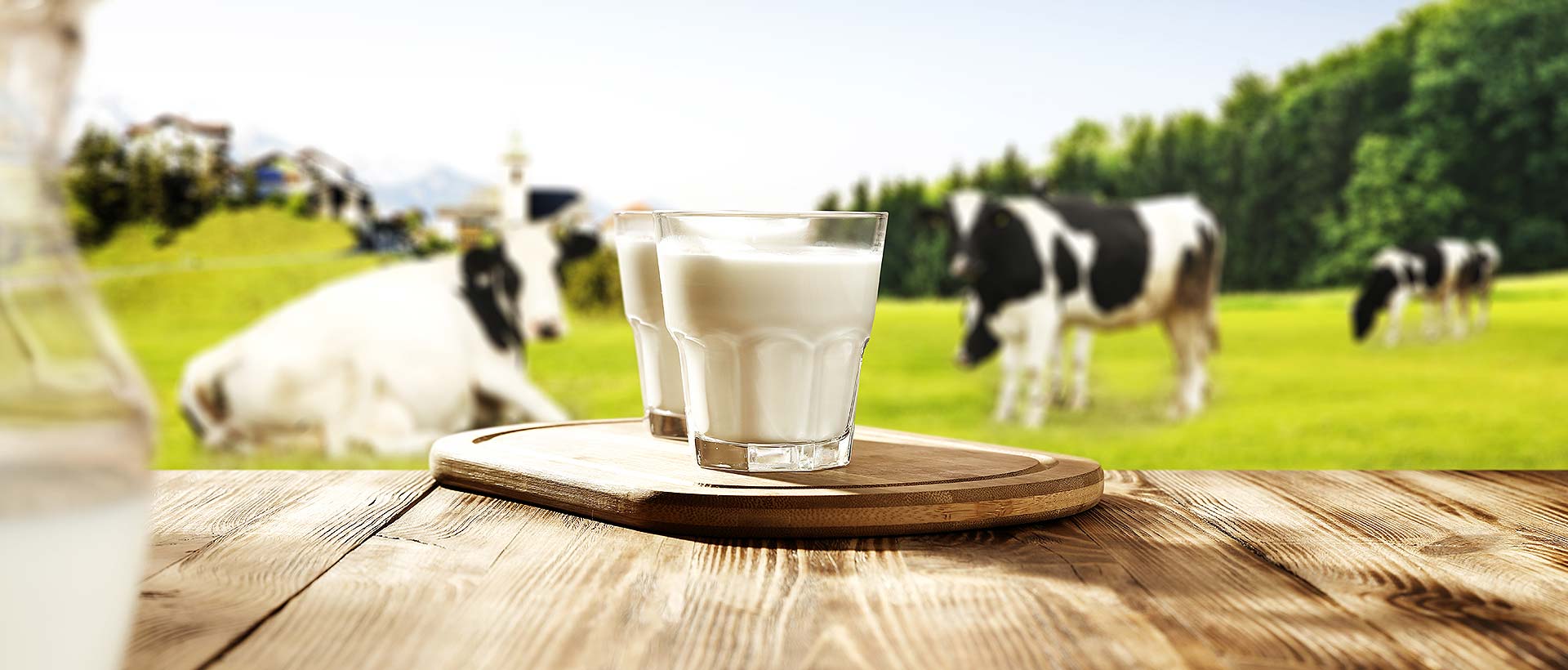 Canaan Factories Limited - Close up of a glass of milk with a backdrop of cows grazing in the background